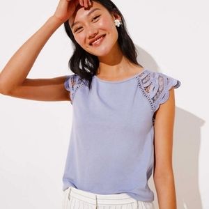 NWOT Ann Taylor LOFT Small Lace Cap Sleeve Top